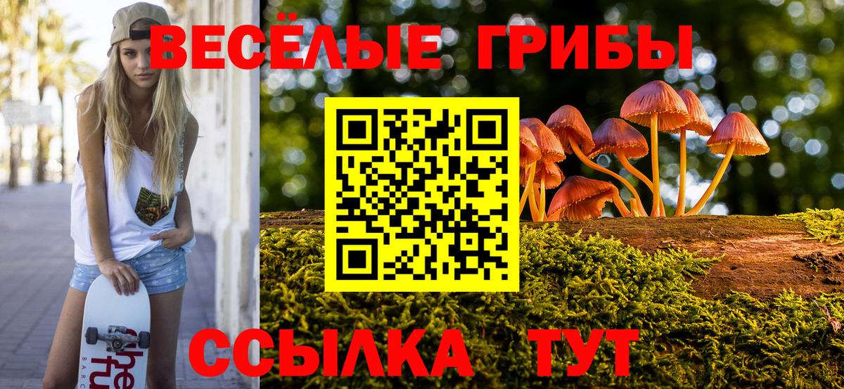 Галлюциногенные грибы Magic Shrooms Касимов